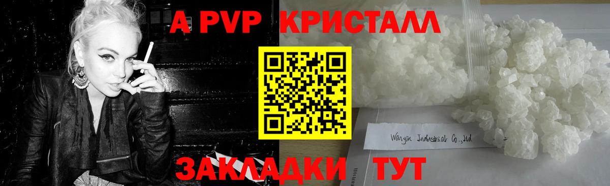 Галлюциногенные грибы Губкинский