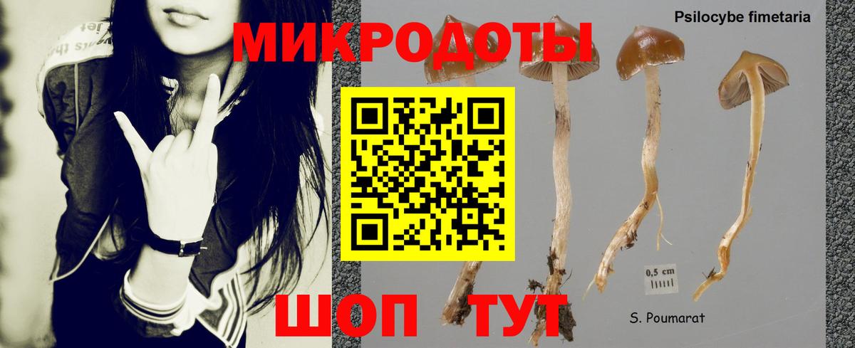 Галлюциногенные грибы мицелий  Галлюциногенные грибы GOLDEN TEACHER  Губкинский  Вход с VPN 