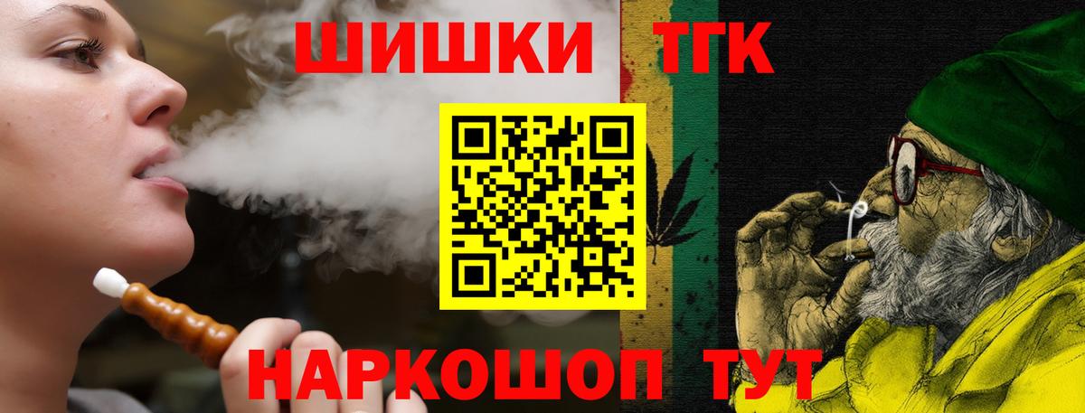 Бошки Шишки планчик Губкинский