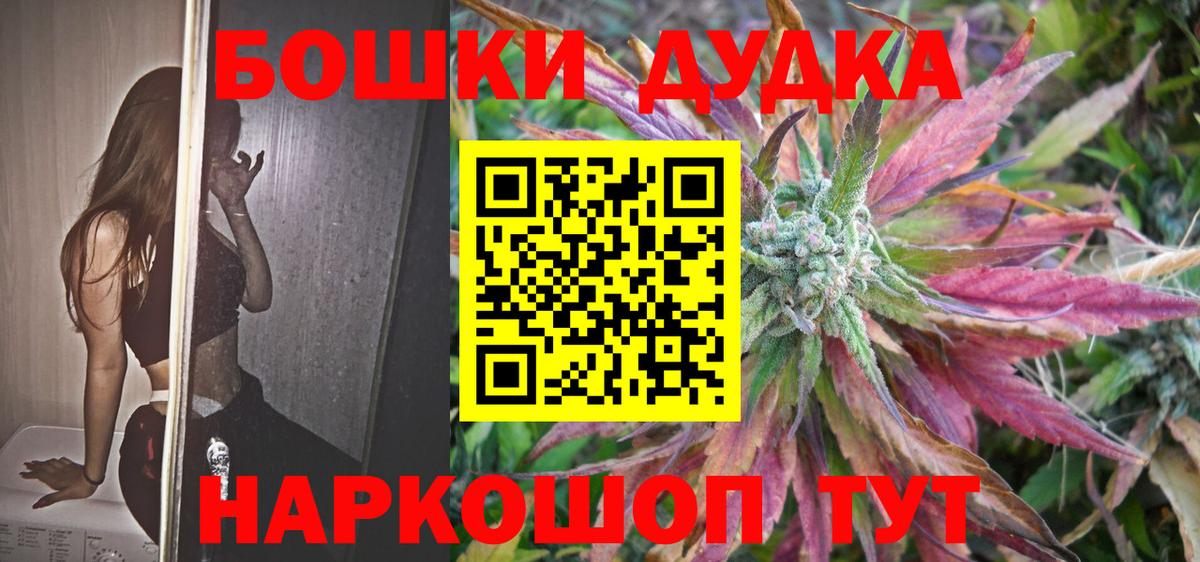 Бошки Шишки семена  Вход с VPN  Бошки Шишки планчик  Бошки Шишки SATIVA & INDICA  Каннабис OG Kush  Губкинский 